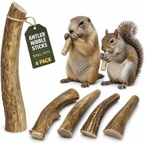 WhiteTail Naturals Small Animal Antler Chews, 4 Pack Gnaw Stick Toys in Kuwait