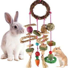 YIXUND Rabbit & Guinea Pig Toys - Natural Timothy Hay & Apple Wood Sticks for Teeth Care - Handmade for Hamster, Bunny, Chinchilla (27 Pcs) in Saudi Arabia