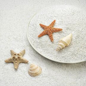 NUPICK 0.4-0.8mm White Aquarium Sand, 3lbs Substrate for Fish Tank, Garden in Kuwait