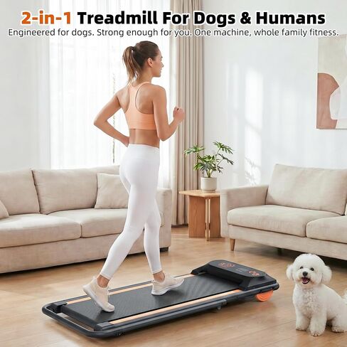 Treadmill for Small & Medium Dog with Remote, Dog Running Training Machine in Kuwait