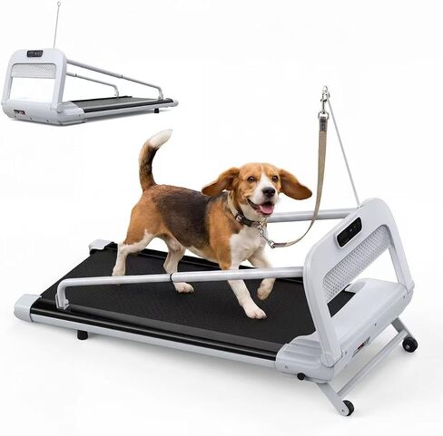 2-in-1 Dog Treadmill for Indoor Exercise, Quiet Pet Running Machine with Remote Control, 265 lbs Weihgt Capacity, Perfect Treadmills for Small to Medium Dogs and Human Walking in Saudi Arabia