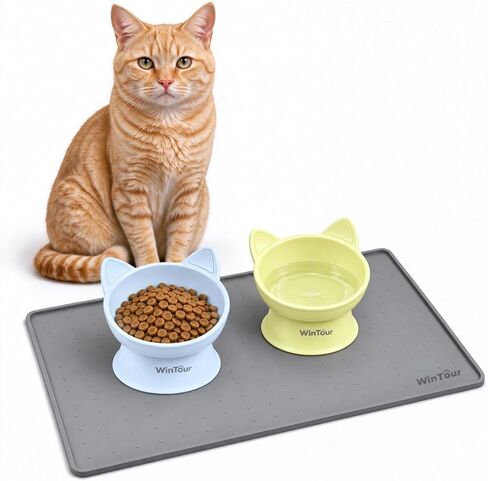 WinTour 2 Pack Elevated Cat Bowls with Food Mat, 15° Tilted Non-Slip Raised in Kuwait