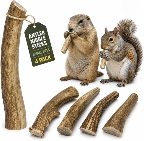 WhiteTail Naturals Small Animal Antler Chews, 4 Pack Gnaw Stick Toys in Kuwait