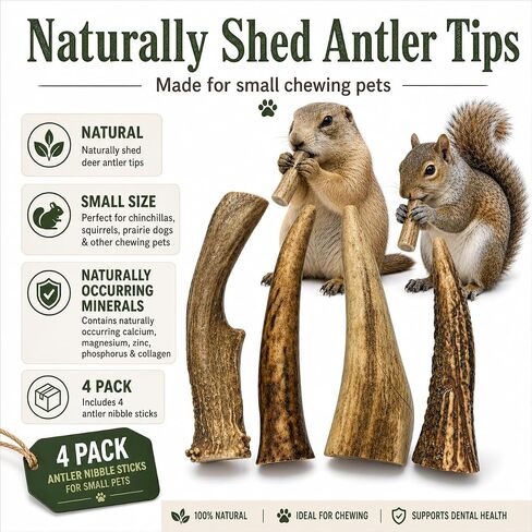 WhiteTail Naturals Small Animal Antler Chews, 4 Pack Gnaw Stick Toys in Kuwait