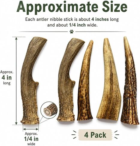 WhiteTail Naturals Small Animal Antler Chews, 4 Pack Gnaw Stick Toys in Kuwait