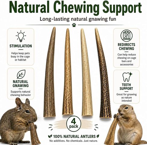 WhiteTail Naturals Small Animal Antler Chews, 4 Pack Gnaw Stick Toys in Kuwait