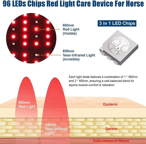 Horse Red Light Therapy Wrap Boot, 660nm 850nm, 3000mAh (Left) in Kuwait