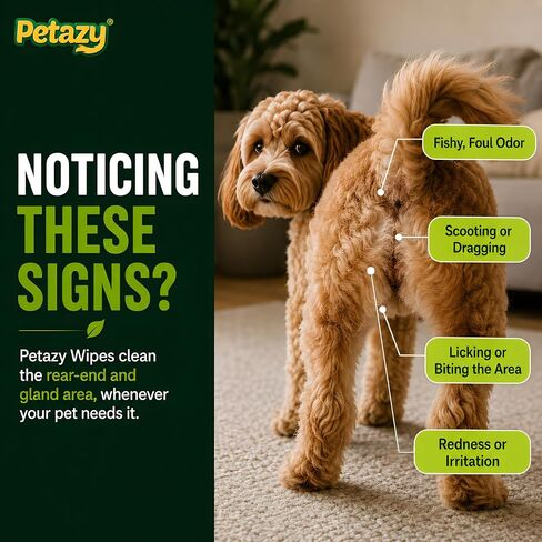 Petazy XL Pet Butt Wipes for Dogs & Cats, Anal Gland Deodorizing, 72 Count in Kuwait
