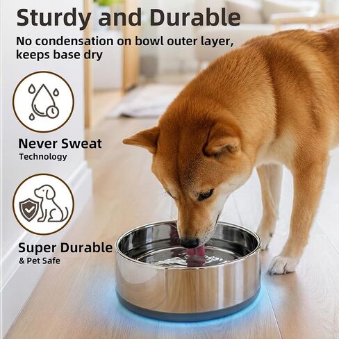 Casfuy Heavy Duty Triple-Wall Insulated Stainless Steel Dog & Cat Bowl, Small: 1-L/ 4.2-Cups in Saudi Arabia