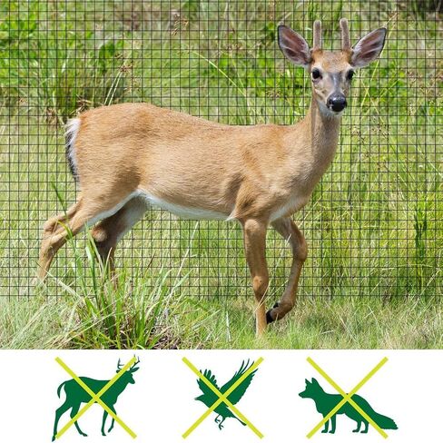 Feitore Deer Fence Netting, 7 x 100 Feet Bird Netting Anti Bird Deer Protection Net Reusable Protective Garden Netting for Plants Fruit Trees Vegetables Against Birds, Deer and Other Animals in Kuwait