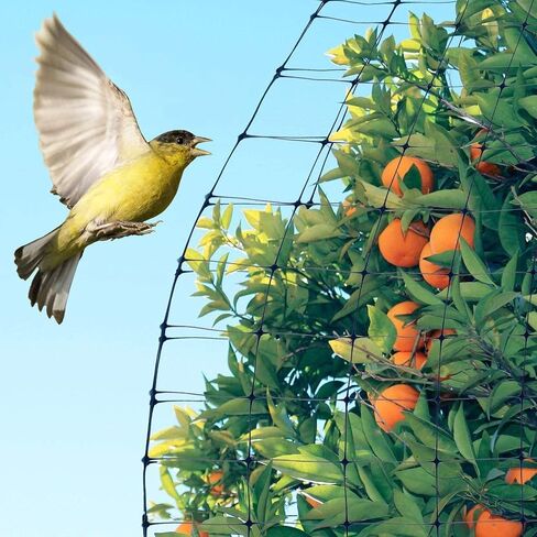 Feitore Deer Fence Netting, 7 x 100 Feet Bird Netting Anti Bird Deer Protection Net Reusable Protective Garden Netting for Plants Fruit Trees Vegetables Against Birds, Deer and Other Animals in Kuwait