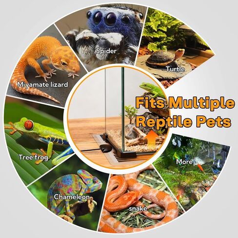 Reptile Heating Pad with Thermostat, 10-Level Adjustable Under Tank Heater, 6x11 Inch Graphene Heat Mat for Turtles Frogs Snakes Lizards Geckos Hermit Crabs Spiders, Safe & Even Warming in Kuwait