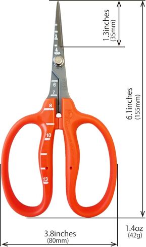 CHIKAMASA B-500SF Stainless Steel Fluorine Treated Grape Care Shears in Kuwait