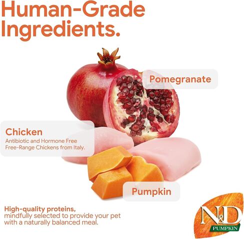 Pumpkin Chicken & Pomegranate Grain Free Mini Breed Dry Puppy Food by Farmina in Kuwait