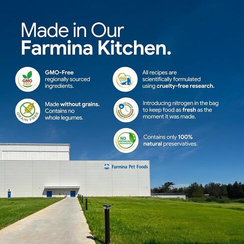 Pumpkin Chicken & Pomegranate Grain Free Mini Breed Dry Puppy Food by Farmina in Kuwait