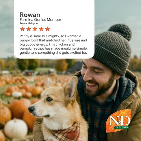 Pumpkin Chicken & Pomegranate Grain Free Mini Breed Dry Puppy Food by Farmina in Kuwait