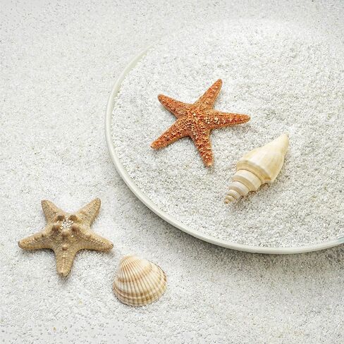 NUPICK 0.4-0.8mm White Aquarium Sand, 3lbs Substrate for Fish Tank, Garden in Kuwait