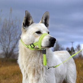 Candofly Dog Headcollar - Adjustable Dog Head Halter Reflective Head Collar Pet No-Pulling Collar for Easier Walk (Green, Large) in Saudi Arabia
