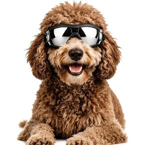 LESYPET Dog Goggles Medium Breed, UV Wind Dust Protection Medium Dog Sunglasses with Adjustable Strap, Doggy Sunglasses for Outdoor Driving Eye Protection, M in Kuwait