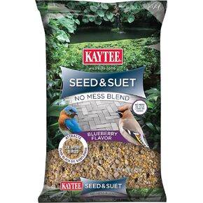 Kaytee Seed & Suet No Mess Peanut 10 Pounds in Saudi Arabia