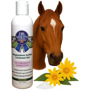 Dr. Milt's Horse Liniment with Epsom Salt & Arnica Fast-Absorbing Cooling Gel for Horses Daily Muscle & Joint Care Non-Greasy Formula Veterinarian Developed 1 Full Size - 8oz in Kuwait
