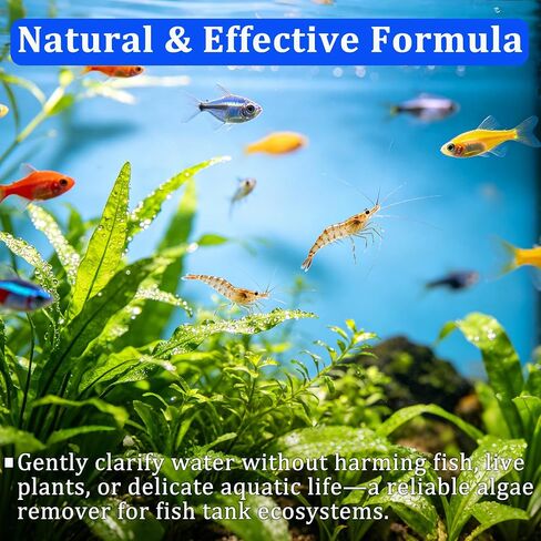 Fish Tank Water Purification Tablets - Clarify Water (1) in Kuwait