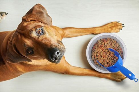 Van Ness 2 Cup Capacity Pet Food Scoop (Single), Blue in Kuwait