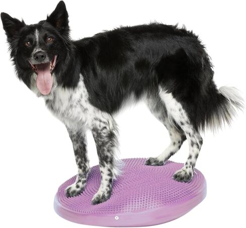 FitPaws® Dog Balance Disc, Exercise Equipment, Rehabilitation + Training, in Saudi Arabia