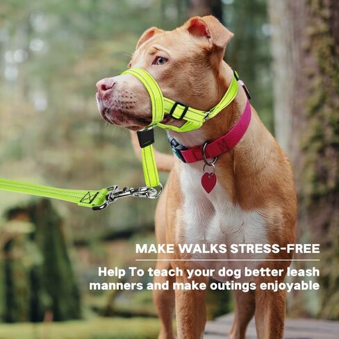 Candofly Dog Headcollar - Adjustable Dog Head Halter Reflective Head Collar Pet No-Pulling Collar for Easier Walk (Green, Large) in Saudi Arabia