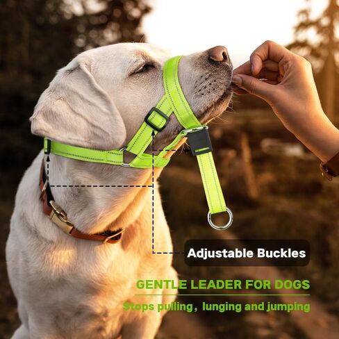 Candofly Dog Headcollar - Adjustable Dog Head Halter Reflective Head Collar Pet No-Pulling Collar for Easier Walk (Green, Large) in Saudi Arabia