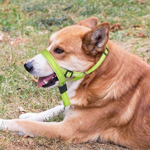 Candofly Dog Headcollar - Adjustable Dog Head Halter Reflective Head Collar Pet No-Pulling Collar for Easier Walk (Green, Large) in Saudi Arabia