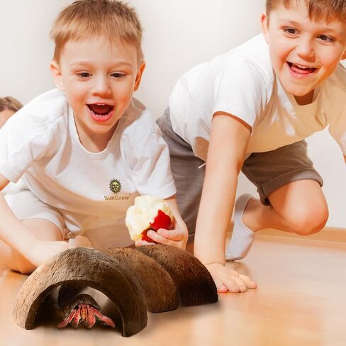 SunGrow Hermit Crab Coconut Cave, Spacious Hide Interior Habitat Comfort Zone, Ascension Coco Shelter Tank Decor Utility, Aquarium Terrarium Accessory Reptile Compatible Enclosure Feature Design in Kuwait