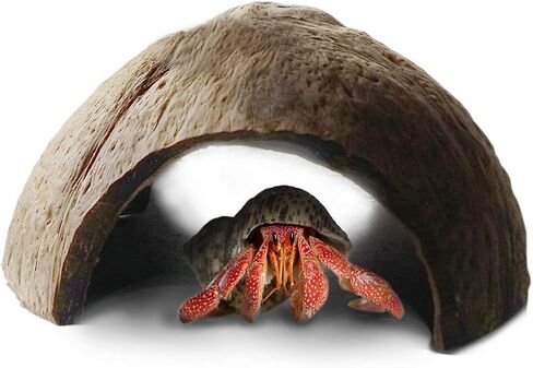 SunGrow Hermit Crab Coconut Cave, Spacious Hide Interior Habitat Comfort Zone, Ascension Coco Shelter Tank Decor Utility, Aquarium Terrarium Accessory Reptile Compatible Enclosure Feature Design in Kuwait