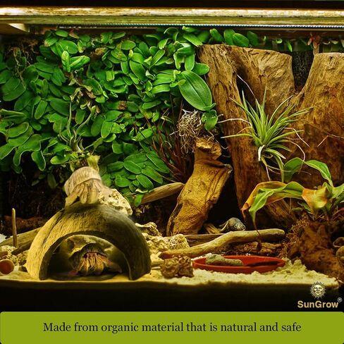 SunGrow Hermit Crab Coconut Cave, Spacious Hide Interior Habitat Comfort Zone, Ascension Coco Shelter Tank Decor Utility, Aquarium Terrarium Accessory Reptile Compatible Enclosure Feature Design in Kuwait