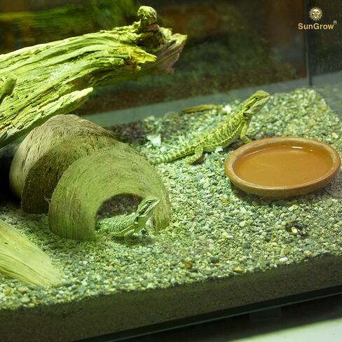 SunGrow Hermit Crab Coconut Cave, Spacious Hide Interior Habitat Comfort Zone, Ascension Coco Shelter Tank Decor Utility, Aquarium Terrarium Accessory Reptile Compatible Enclosure Feature Design in Kuwait