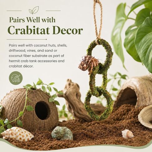Hermit Crab Climbing Toy, Hanging Moss Climbing Rings for Hermit Crab Tank Accessories, 11 in Crabitat Decor with Rope, Textured Hermit Crab Climbing Accessory for Small Hermit Crabs in Saudi Arabia