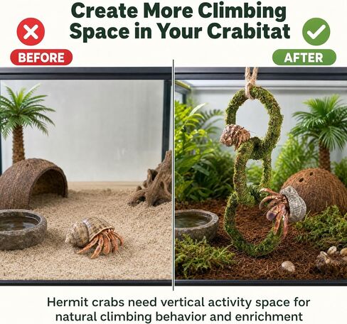 Hermit Crab Climbing Toy, Hanging Moss Climbing Rings for Hermit Crab Tank Accessories, 11 in Crabitat Decor with Rope, Textured Hermit Crab Climbing Accessory for Small Hermit Crabs in Saudi Arabia