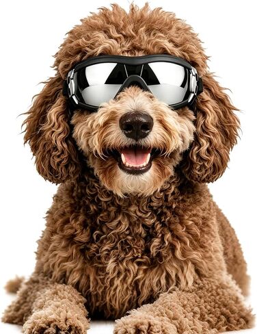 LESYPET Dog Goggles Medium Breed, UV Wind Dust Protection Medium Dog Sunglasses with Adjustable Strap, Doggy Sunglasses for Outdoor Driving Eye Protection, M in Kuwait