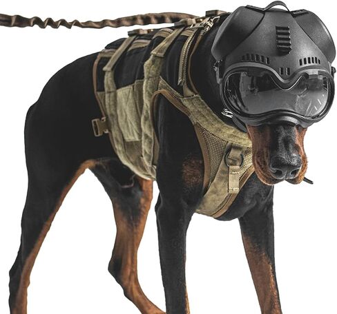 Zhongren Dog Helmet with Goggles - 2in1 Doggy Sunglasses and Pet Motorcycle Tactical Helmet Set for Medium Large Breed with Ear Holes Adjustable Straps for Outdoor Sport(Black) in Kuwait