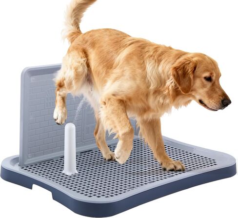 Pee Pad Holder, Indoor Potty Tray for Puppy and Small Size Dog with Pee Wall, Non-Skid Feet, 20x15.4x1.4 inch (Medium) in Kuwait