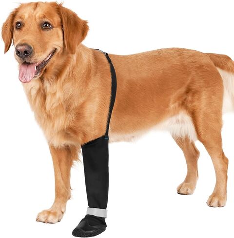 BARKLESS Dog Socks to Prevent Licking Paws, Leg Sleeve with Paw Protector in Saudi Arabia