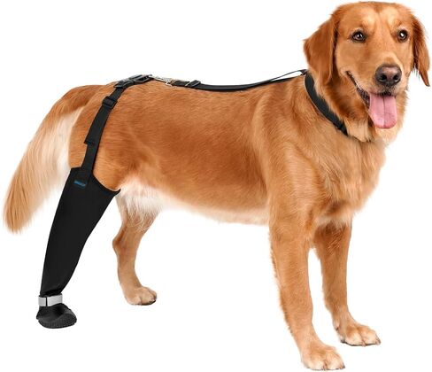 BARKLESS Rear Leg Sleeve with Paw Protector, Dog Bootie to Prevent Licking in Saudi Arabia