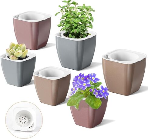 HEMOPLT Plant Pots - Self Watering Pots for Indoor Plants - Planters for Indoor Plants - Pack of 6 5" & 7" African Violet Pots - Orchid Pots - Champagne Gold - Silver - Rose Gold in Kuwait