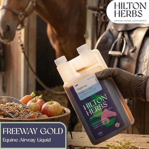 Hilton Herbs Freeway Gold 500ml – Liquid Equine Respiratory Support Supplement – Herbal Immune Support for Horse Lung Health & Clear Airways in Saudi Arabia