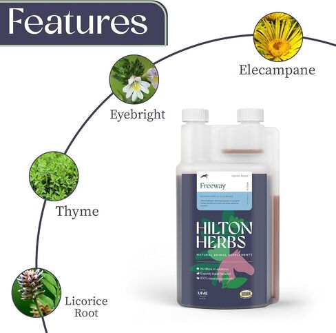 Hilton Herbs Freeway Gold 500ml – Liquid Equine Respiratory Support Supplement – Herbal Immune Support for Horse Lung Health & Clear Airways in Saudi Arabia