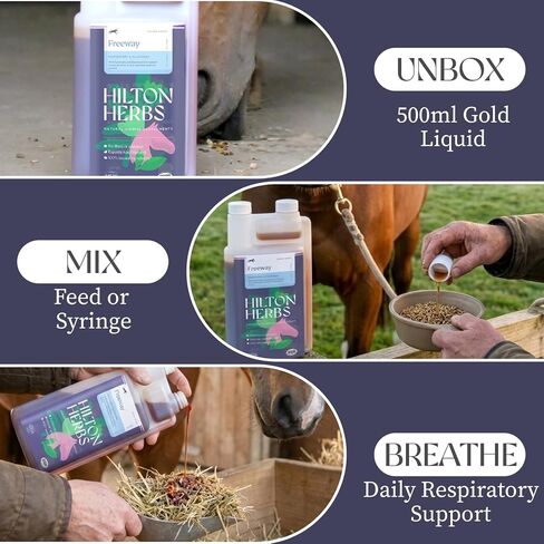 Hilton Herbs Freeway Gold 500ml – Liquid Equine Respiratory Support Supplement – Herbal Immune Support for Horse Lung Health & Clear Airways in Saudi Arabia