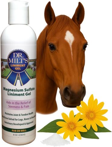 Dr. Milt's Horse Liniment with Epsom Salt & Arnica Fast-Absorbing Cooling Gel for Horses Daily Muscle & Joint Care Non-Greasy Formula Veterinarian Developed 1 Full Size - 8oz in Kuwait