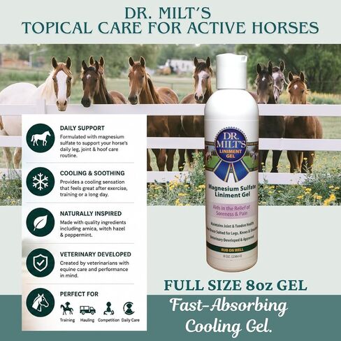 Dr. Milt's Horse Liniment with Epsom Salt & Arnica Fast-Absorbing Cooling Gel for Horses Daily Muscle & Joint Care Non-Greasy Formula Veterinarian Developed 1 Full Size - 8oz in Kuwait