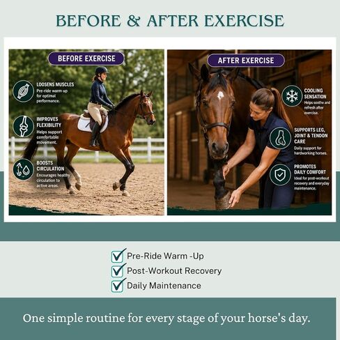 Dr. Milt's Horse Liniment with Epsom Salt & Arnica Fast-Absorbing Cooling Gel for Horses Daily Muscle & Joint Care Non-Greasy Formula Veterinarian Developed 1 Full Size - 8oz in Kuwait