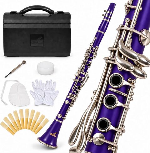 SKY Blue ABS Bb Clarinet with Case, Mouthpiece, 11 Reeds, Care kit and more in Saudi Arabia